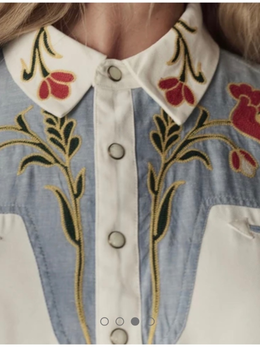 Stetson & THE GREAT Embroidered Western Shirt